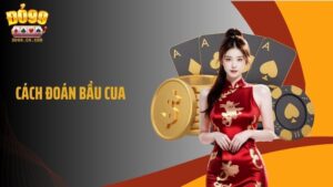 Cách Đoán Bầu Cua - Bí Kíp Dự Đoán Chuẩn Xác Cao