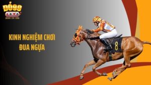 Bí Kíp Vàng: Kinh Nghiệm Chơi Đua Ngựa Ai Cũng Phải Biết