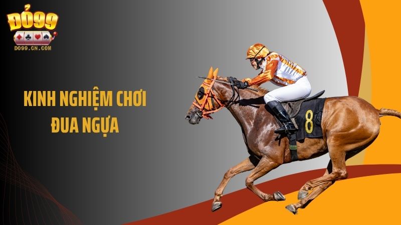 Bí Kíp Vàng: Kinh Nghiệm Chơi Đua Ngựa Ai Cũng Phải Biết