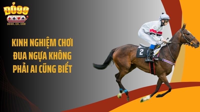 Kinh nghiệm chơi đua ngựa không phải ai cũng biết