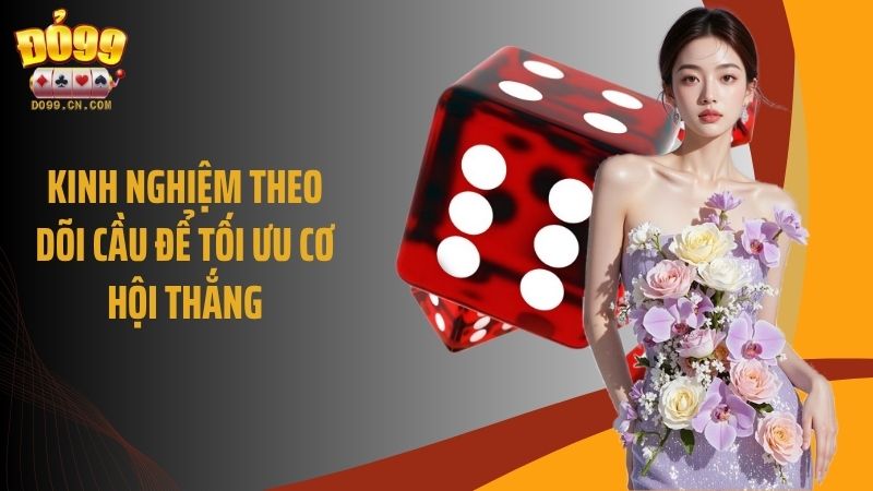 Kinh nghiệm theo dõi cầu để tối ưu cơ hội thắng