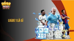 Ligue 1 Là Gì? Thông Tin Về Giải Đấu Bóng Đá Tại Pháp