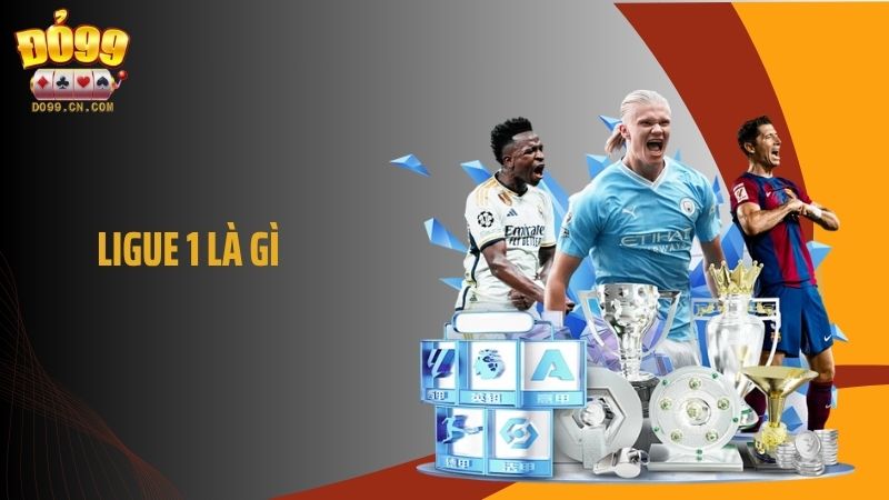 Ligue 1 Là Gì? Thông Tin Về Giải Đấu Bóng Đá Tại Pháp