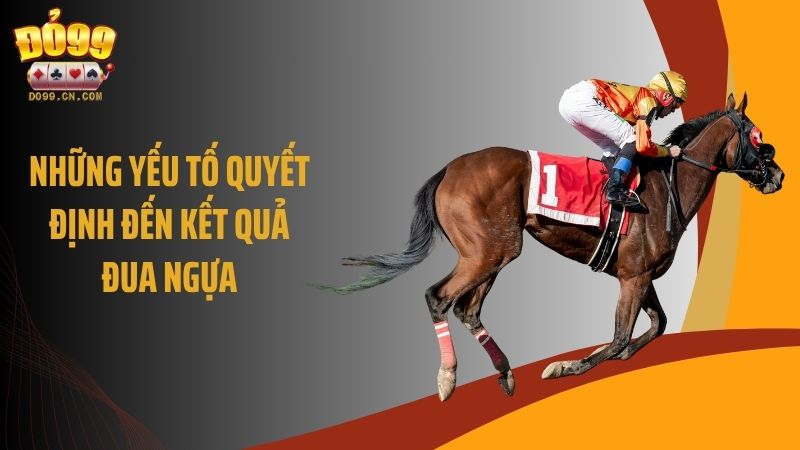 Những yếu tố quyết định đến kết quả đua ngựa